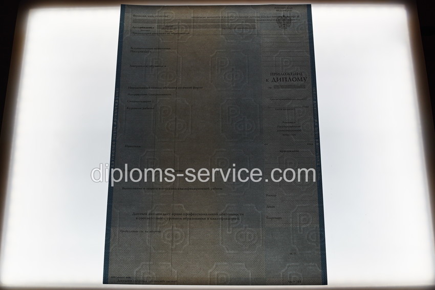 Диплом магистра 2003-2009 годов-фото10