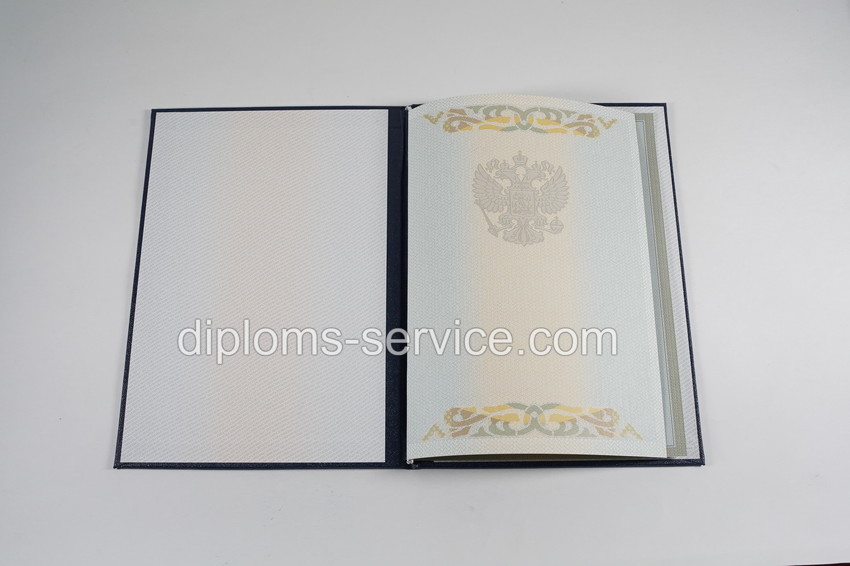 Диплом магистра 2003-2009 годов-фото7