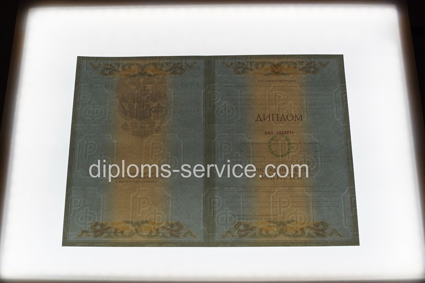 Диплом магистра 2003-2009 годов-фото9