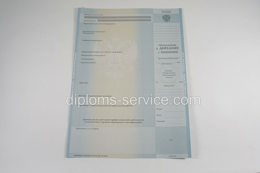 Диплом магистра 2012-2013 годов-фото6