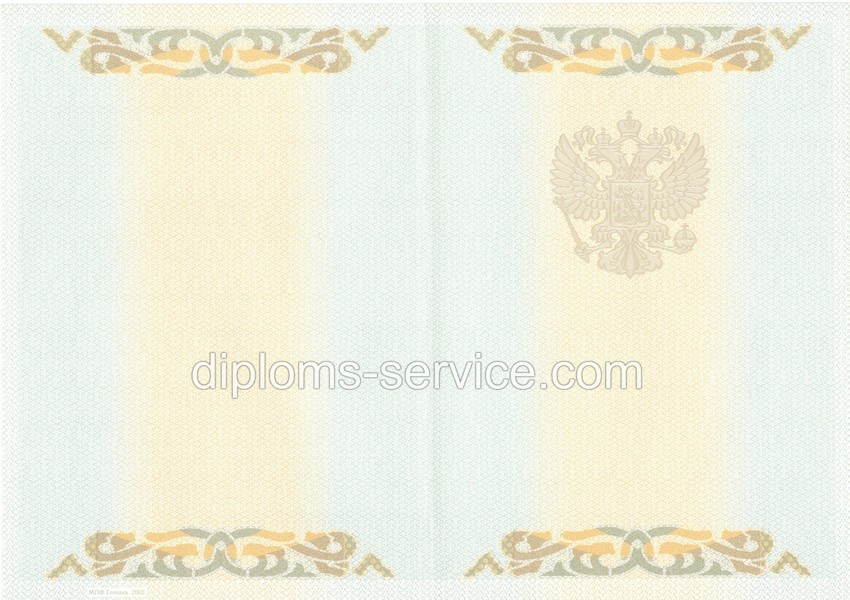 Диплом бакалавра 2003-2009 годов-фото2