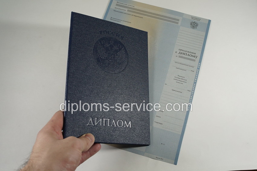 Диплом бакалавра 2003-2009 годов-фото6
