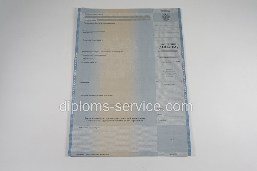 Диплом бакалавра 2003-2009 годов-фото7