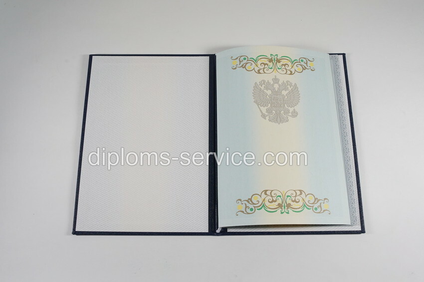 Диплом бакалавра 2012-2013 годов-фото7