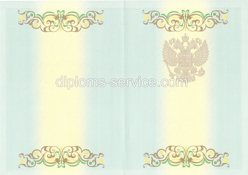 Диплом специалиста 2012-2013 годов-фото2