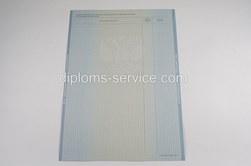 Диплом специалиста 2012-2013 годов-фото5