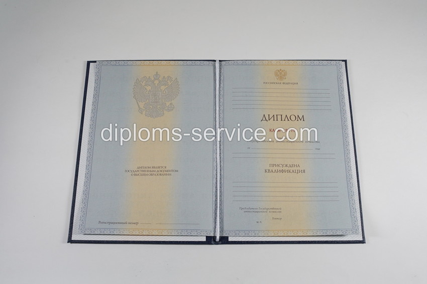 Диплом специалиста 2012-2013 годов-фото6