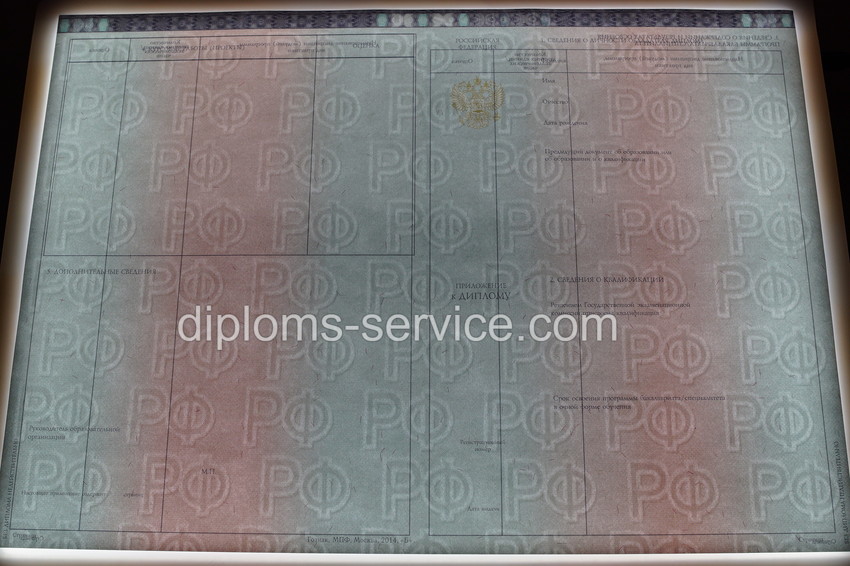 Диплом специалиста 2014-2025 года-фото10